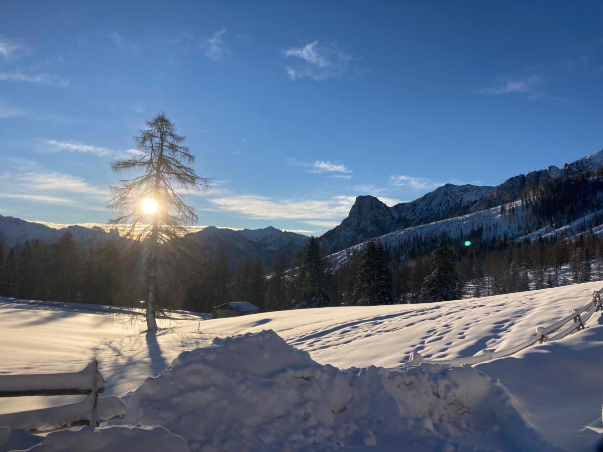 Renoviertes Apartment Mit Terrasse An Der Piste Mit Kostenlosen Wifi Carezza al Lago Exteriér fotografie